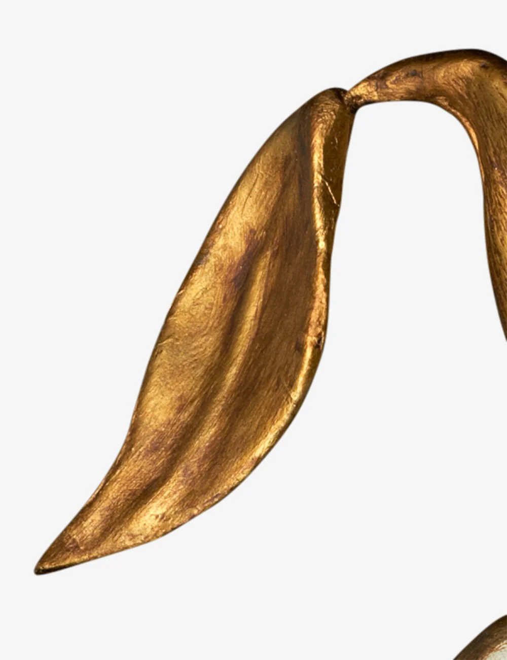 Colombina Foglia - Image 4